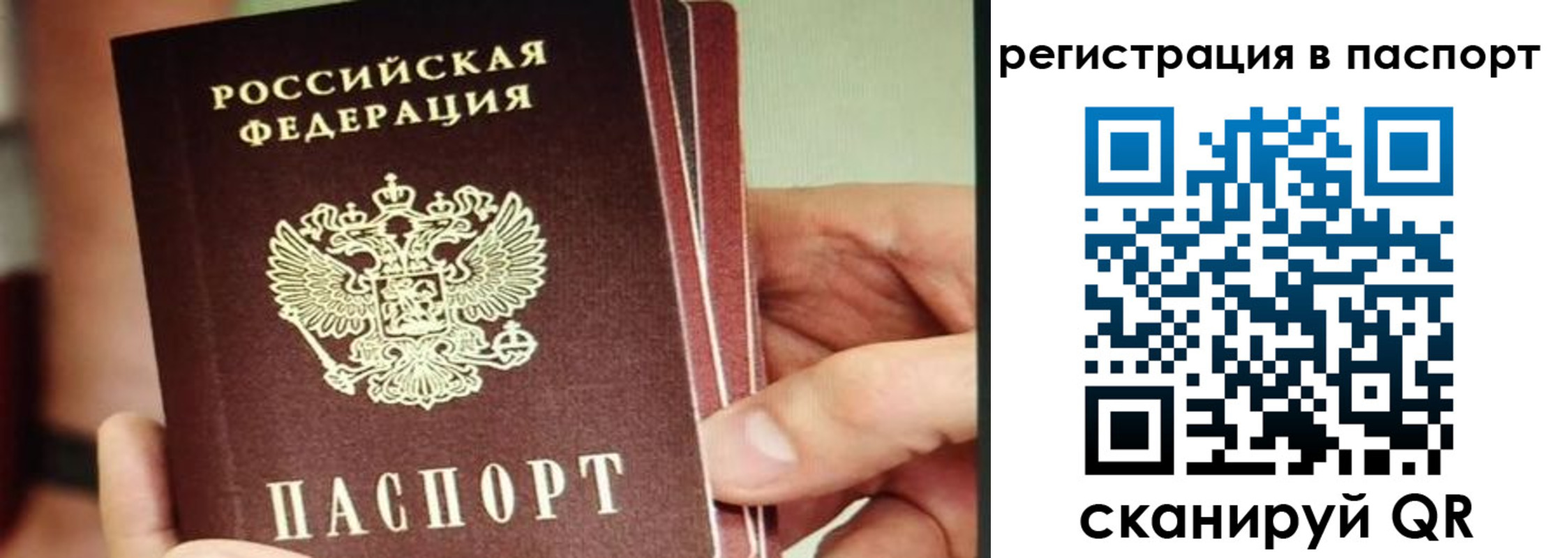 временная регистрация надежно в Камешково